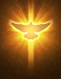 Dove
