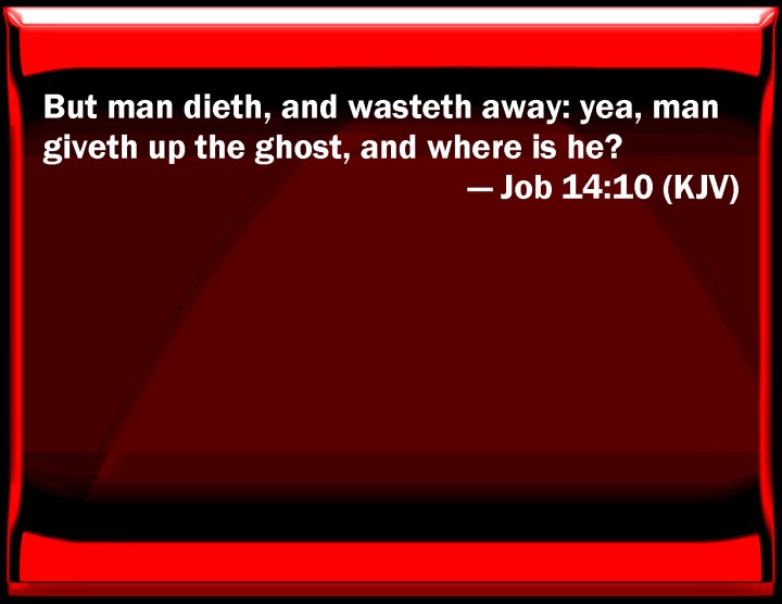 KJV_Job_14-10